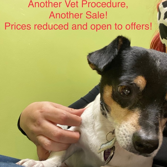 Meet your Posher, Jessica - Picture 3 of 3